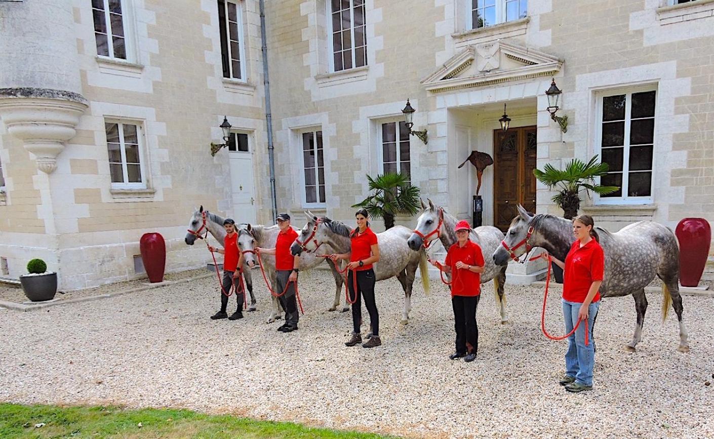 Chateau De Bellevue B&B Et Appartements Avec Piscine Saisonal Chauffee Et Chambres Partout Climatisees Сент-Ави Экстерьер фото